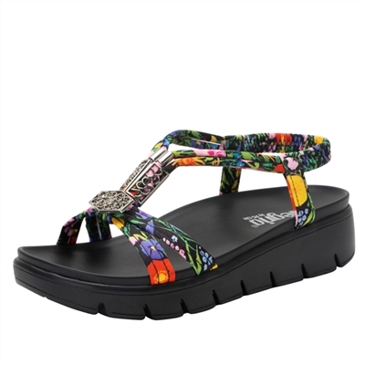 Shop Roz Sandal by Alegria Shoes | Always Free Shipping